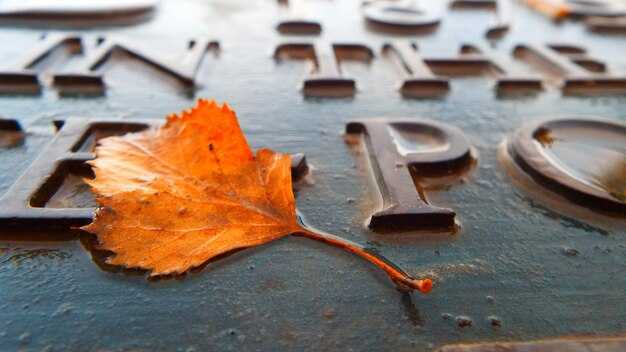 Почему слово 