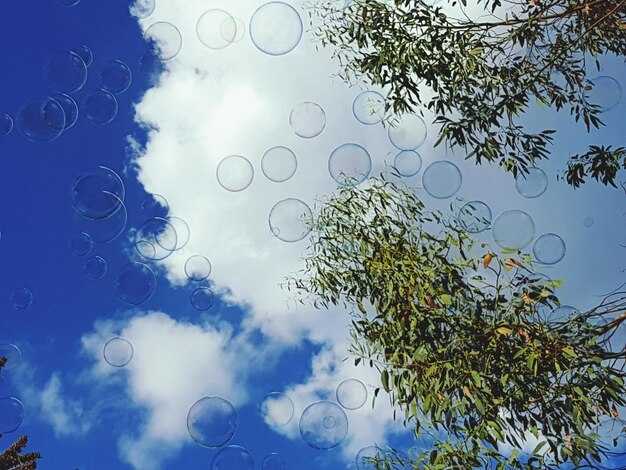 Как ветер влияет на климат и погоду в разных регионах