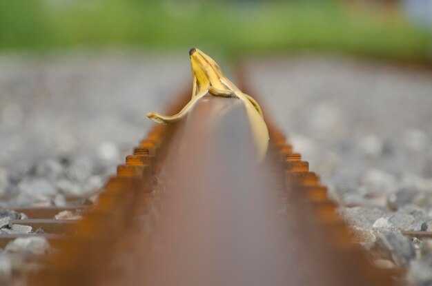 Правила спряжения глаголов в настоящем времени