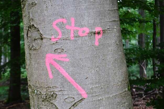 Примеры употребления слова 