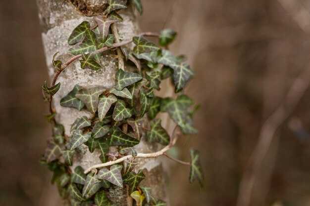 Как выбрать правильный синоним для слова 