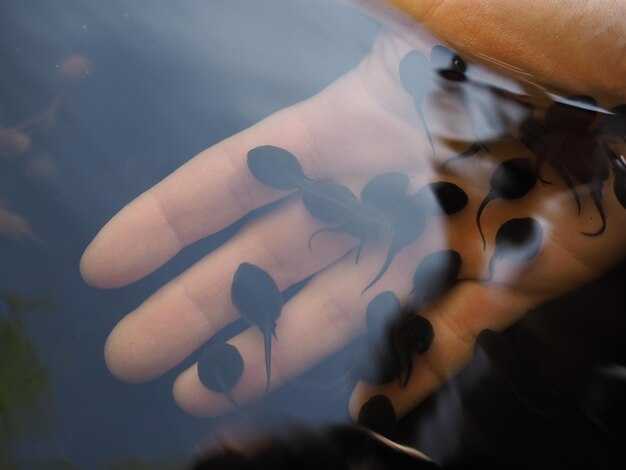 Синонимы в профессиональной и технической лексике