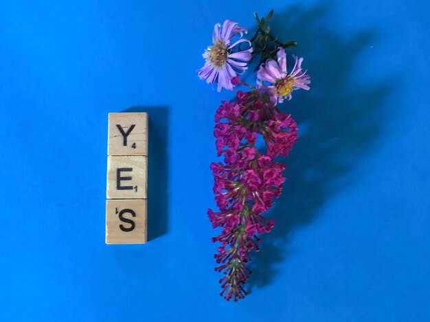 Как подобрать синонимы в литературном творчестве?