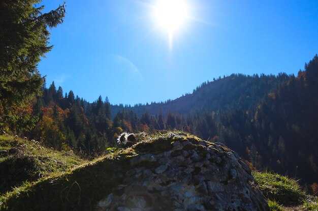 Ошибки при склонении существительного