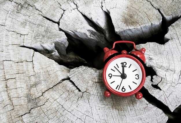 Примеры использования слова 