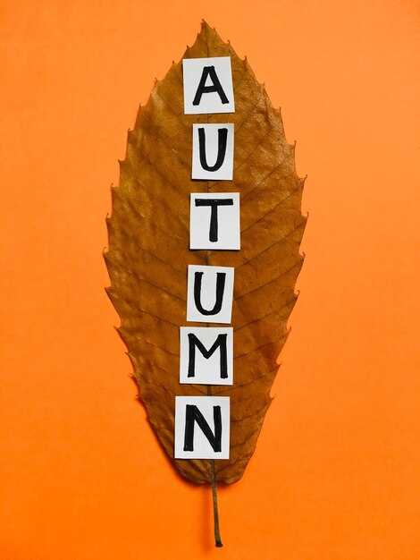 Какого склонения слово осень